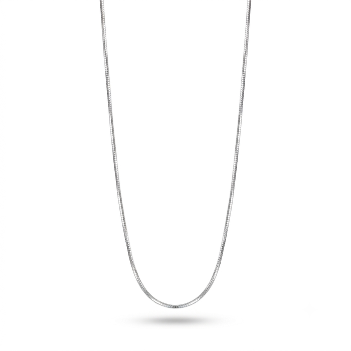 A silver snake chain necklace shown hanging in a U-shape against a plain white background.