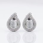 Pair of silver earrings with large gemstones on a white background